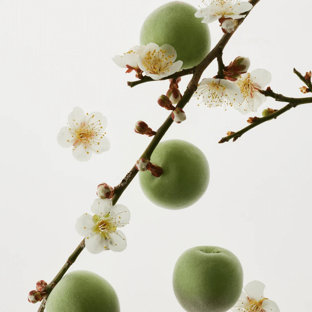 Green Plum Refreshing Cleansers